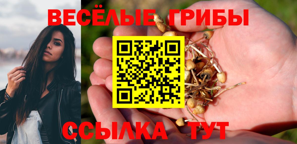 Галлюциногенные грибы MAGIC MUSHROOMS Можайск
